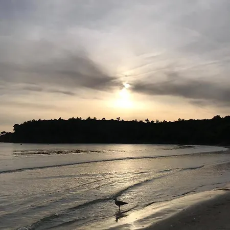 Appartement Bel Proche Le Lavandou